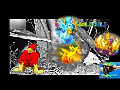 Video guide by FlyingEagleChild Ft Eagle: Dragon Story Level 133 #dragonstory