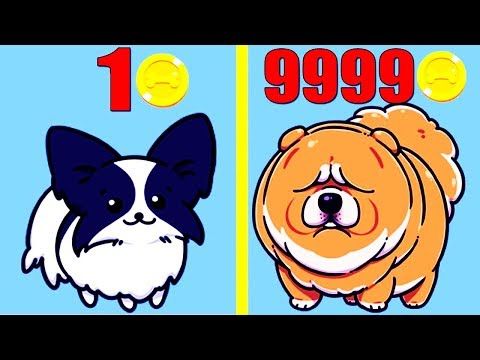 Video guide by PikaGuyy: Merge Dogs! Level 999 #mergedogs
