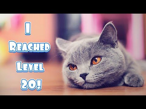 Video guide by Alissa The Lioness: Reached! Level 20 #reached