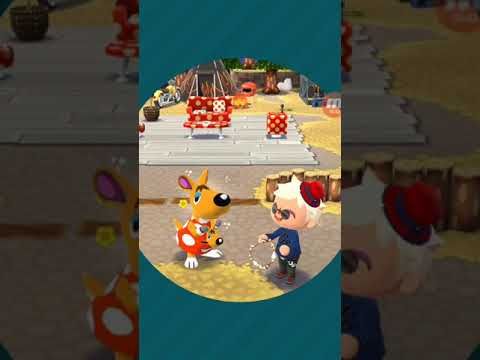 Video guide by FudgyDRS: Animal Crossing: Pocket Camp Level 34 #animalcrossingpocket