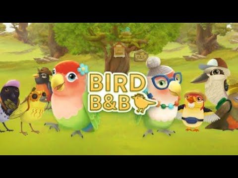 Video guide by : Bird BnB  #birdbnb