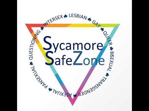 Video guide by Bre Pierce: Safe Zone! Level 3 #safezone