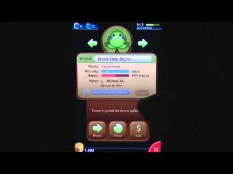 Video guide by : Pocket Frogs  #pocketfrogs