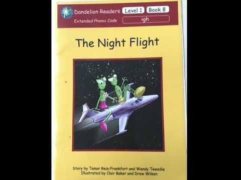 Video guide by anne gillespie: Night Flight Level 1 #nightflight