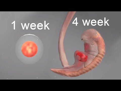 Video guide by : 9 Months  #9months