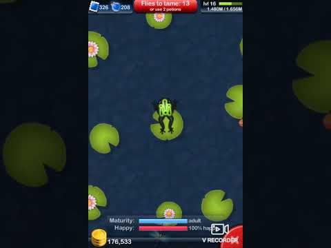 Video guide by PerznGodiva: Pocket Frogs Level 35 #pocketfrogs