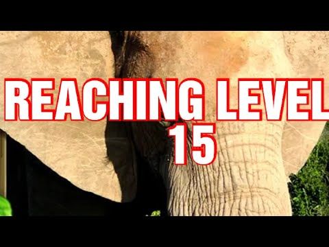 Video guide by Just a Random Dino: Elephant Simulator Level 15 #elephantsimulator