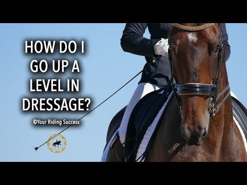 Video guide by YourRidingSuccess: Go Up Level 194 #goup