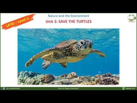 Video guide by RIGHT-WAY ENGLISH: Save the Turtles Level 2 #savetheturtles