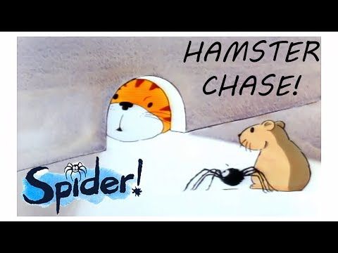 Video guide by Bogglesox TV: Hamster Chase Level 9 #hamsterchase