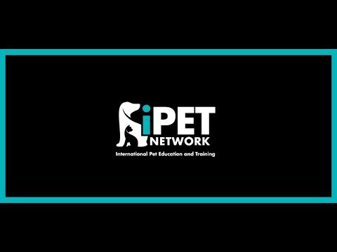 Video guide by iPET Network iLearn: IPet Level 4 #ipet