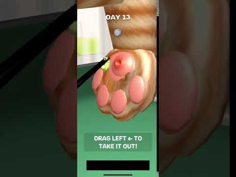 Video guide by RebelYelliex: Paw Care! Level 13 #pawcare