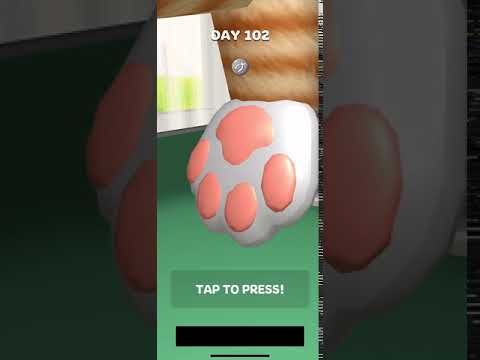 Video guide by RebelYelliex: Paw Care! Level 102 #pawcare