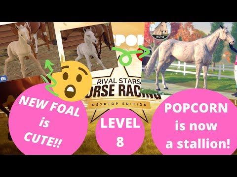Video guide by LadyRangerGamer: Rival Stars Horse Racing Level 8 #rivalstarshorse