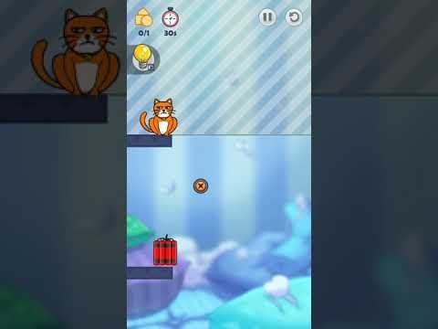 Video guide by All in one 4u: Hello Cats! Level 70 #hellocats
