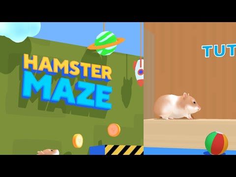 Video guide by Bigundes World: Hamster Maze Level 21-30 #hamstermaze