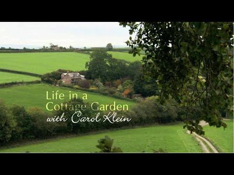Video guide by dave m: Cottage Garden Level 4 #cottagegarden