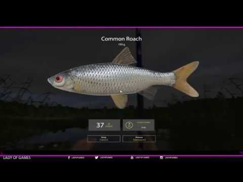 Video guide by Lady of Games: Russian Fishing Level 4-5 #russianfishing
