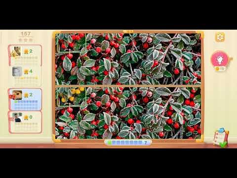 Video guide by Lily G: 5 Differences Online Level 157 #5differencesonline
