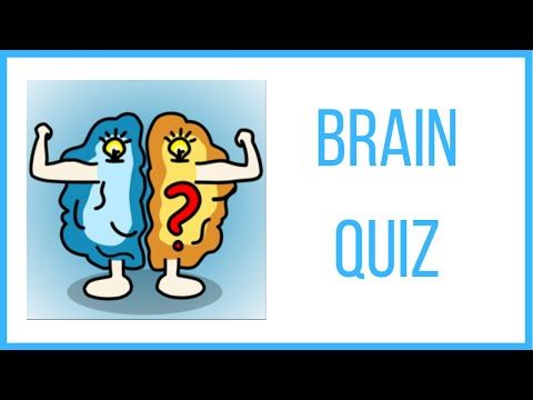 Video guide by RebelYelliex: Brain Quiz Level 8 #brainquiz