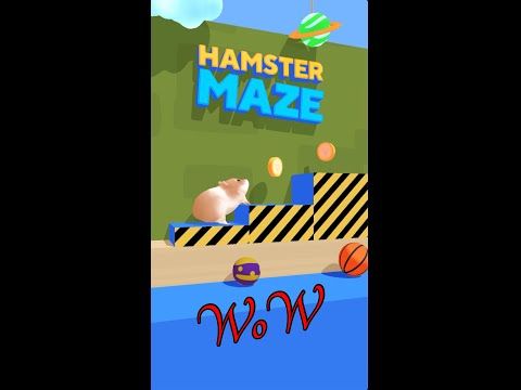 Video guide by Magic Game: Hamster Maze Level 1-10 #hamstermaze