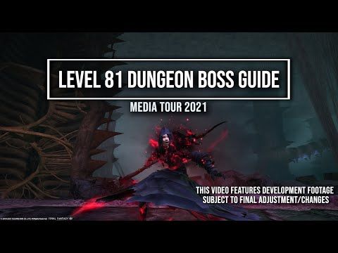 Video guide by Meoni: Dungeon Boss Level 81 #dungeonboss