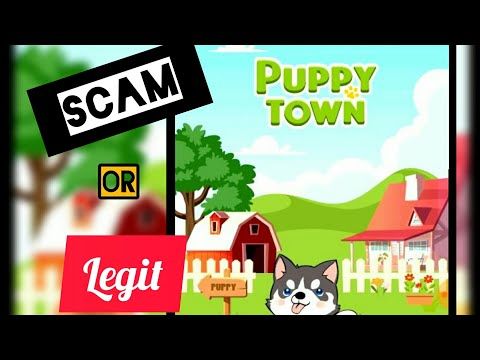 Video guide by Johnque JG: Puppy Town Level 22 #puppytown