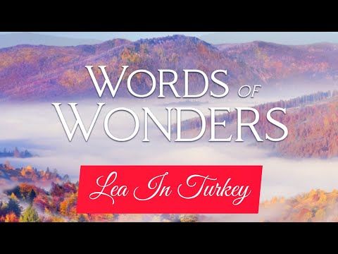 Video guide by Lea In Turkey: Words Of Wonders Level 81-100 #wordsofwonders
