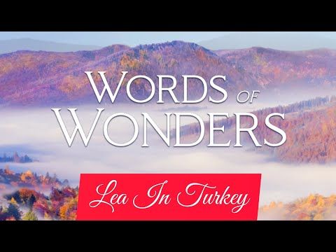 Video guide by Lea In Turkey: Words Of Wonders Level 295 #wordsofwonders