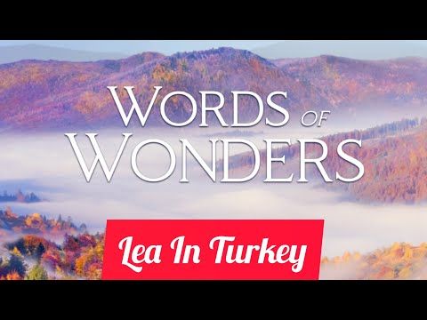 Video guide by Lea In Turkey: Words Of Wonders Level 426 #wordsofwonders
