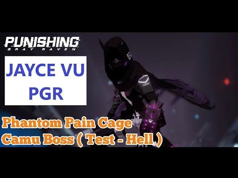 Video guide by Jayce Vu: Punishing: Gray Raven Level 70-100 #punishinggrayraven