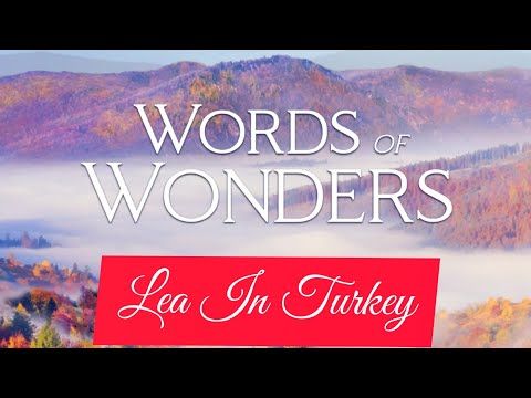 Video guide by Lea In Turkey: Words Of Wonders Level 148 #wordsofwonders