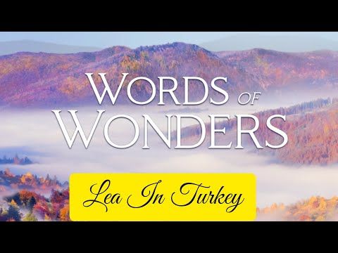 Video guide by Lea In Turkey: Words Of Wonders Level 478 #wordsofwonders