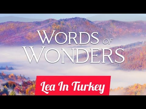 Video guide by Lea In Turkey: Words Of Wonders Level 367 #wordsofwonders