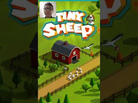 Video guide by Matthew Thompson: Tiny Sheep Level 2 #tinysheep