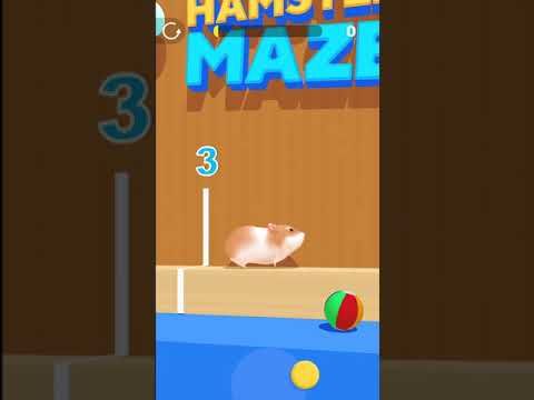 Video guide by The Hamster Romulus Identify: Hamster Maze Level 3 #hamstermaze