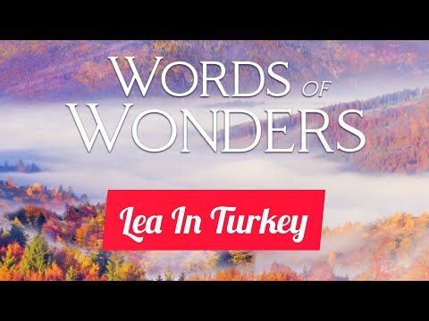 Video guide by Lea In Türkiye: Words Of Wonders Level 260 #wordsofwonders