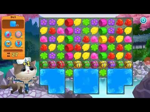 Video guide by RTG FAMILY: Meow Match™ Level 843 #meowmatch
