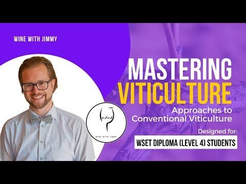 Video guide by Wine With Jimmy: Viticulture Level 4 #viticulture