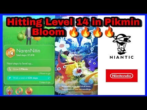 Video guide by CQR Gaming: Pikmin Bloom Level 14 #pikminbloom