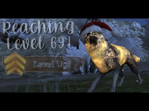 Video guide by IconicXeno: Wolf Online Level 69 #wolfonline