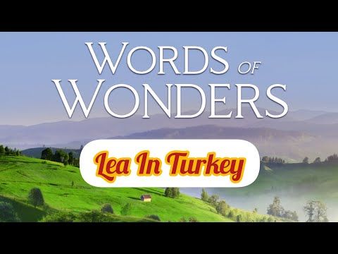 Video guide by Lea In Türkiye: Words Of Wonders Level 387 #wordsofwonders