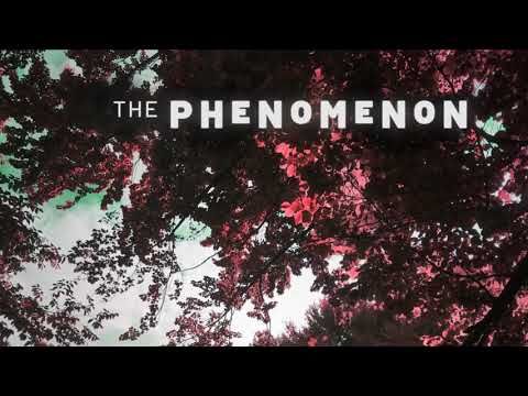 Video guide by The Phenomenon: The Phenomenon Level 12 #thephenomenon
