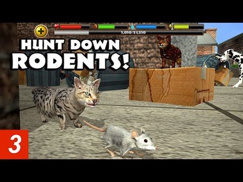 Video guide by Dave's Gaming: Stray Cat Simulator Part 3 #straycatsimulator