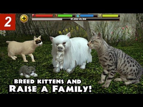 Video guide by Dave's Gaming: Stray Cat Simulator Part 2 #straycatsimulator