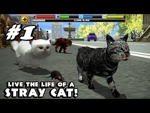 Video guide by PhoneInk: Stray Cat Simulator Part 1 #straycatsimulator