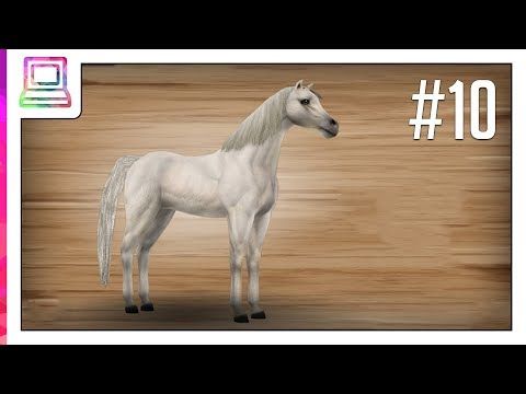 Video guide by TSM Channel: Pony Trails Part 10 #ponytrails