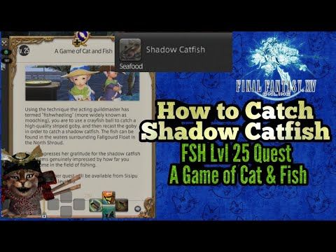 Video guide by KittyBit Games!: CatFish Level 25 #catfish