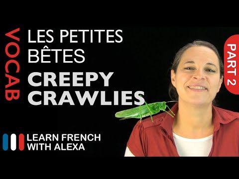 Video guide by Learn French With Alexa: Creepy Crawlies Part 2 #creepycrawlies