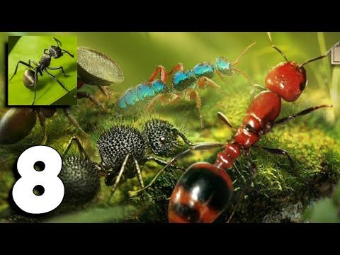Video guide by BDP - Android iOS -: The Ants: Underground Kingdom Part 8 #theantsunderground